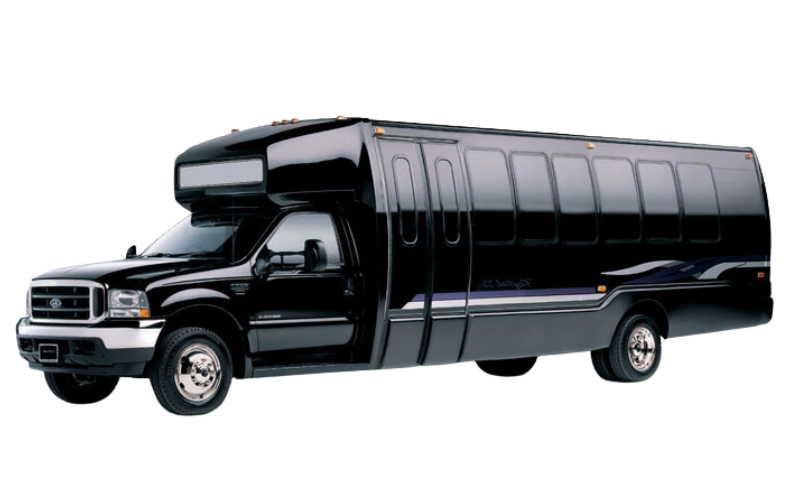Luxury Mini Bus